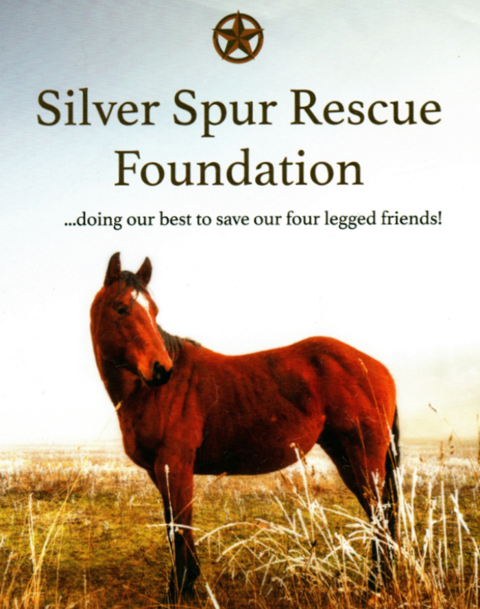 SilverSpurRescueFoundationHome