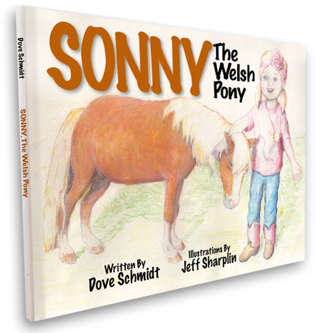 Sonny, The Welsh Pony